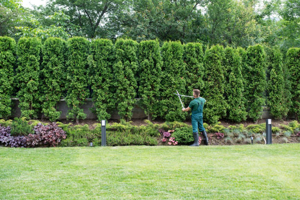 Best Lawn Grading and Leveling  in Grafton, WI