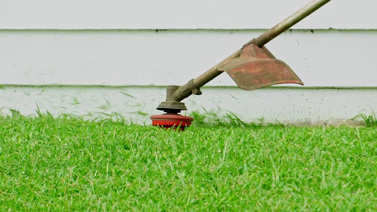 Best Hedge Trimming  in Grafton, WI