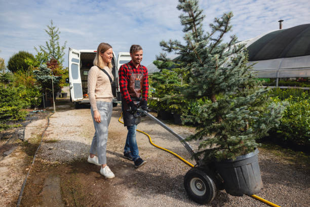 Professional Tree Services in Grafton, WI